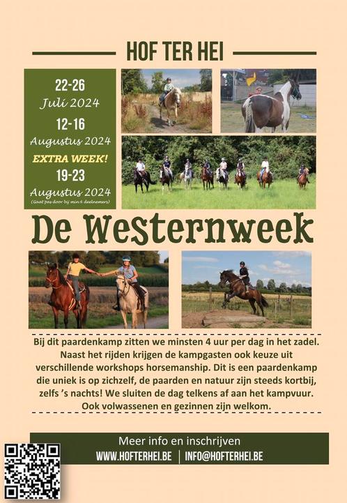 Paardenkamp De Westernweek, Animaux & Accessoires, Chevaux & Poneys | Autres trucs de cheval, Neuf, Enlèvement ou Envoi