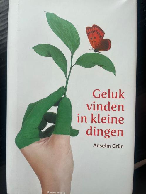 Anselm Grün - Geluk vinden in kleine dingen, Livres, Ésotérisme & Spiritualité, Comme neuf, Enlèvement
