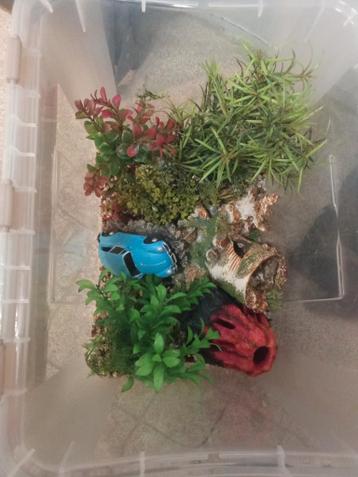 Aquarium decoratie gratis