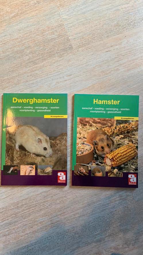 Boeken hamsters verzorging, Livres, Animaux & Animaux domestiques, Utilisé, Lapins ou Rongeurs, Enlèvement ou Envoi