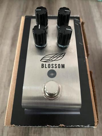 Jackson Audio Blossom optisch compressor