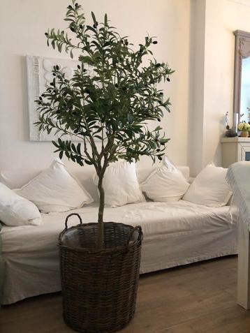Kunstmatige olijfboom nieuw