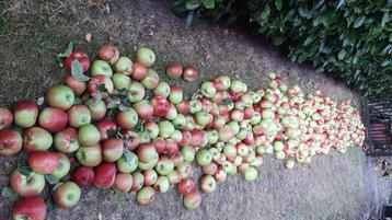 Appelen