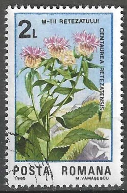 Roemenie 1985 - Yvert 3601 - Centaurea retezatensis (ST), Postzegels en Munten, Postzegels | Europa | Overig, Gestempeld, Overige landen