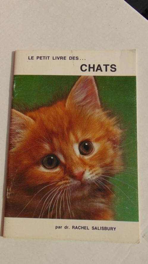 Book : Chats, The little book of chats, Dr Rachel Salisbu, Livres, Animaux & Animaux domestiques, Neuf, Chats, Enlèvement ou Envoi