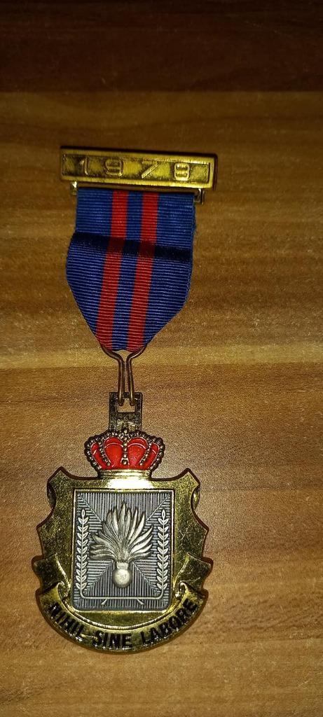 Médaille de la Marche de la Gendarmerie ., Collections, Objets militaires | Général, Gendarmerie, Enlèvement ou Envoi