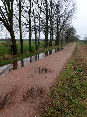 Paardenstallen te huur brecht