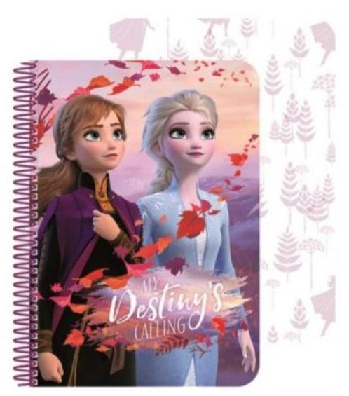 Disney Frozen2 Notitieboekje 3D - A5 Formaat, Divers, Fournitures scolaires, Neuf, Enlèvement ou Envoi