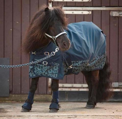 NIEUW Harry's Horse Outdoordeken 200gr maat 115 en 125, Animaux & Accessoires, Chevaux & Poneys | Couvertures & Couvre-reins, Couverture