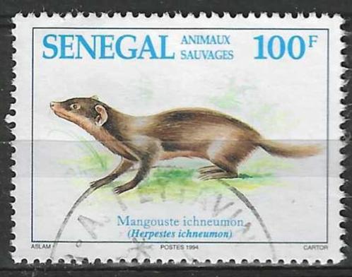 Senegal 1994 - Yvert 1079 - Ichneumon Mangoest 100 F. (ST), Timbres & Monnaies, Timbres | Afrique, Affranchi, Envoi