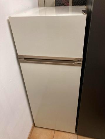 Oude frigo gratis af te halen