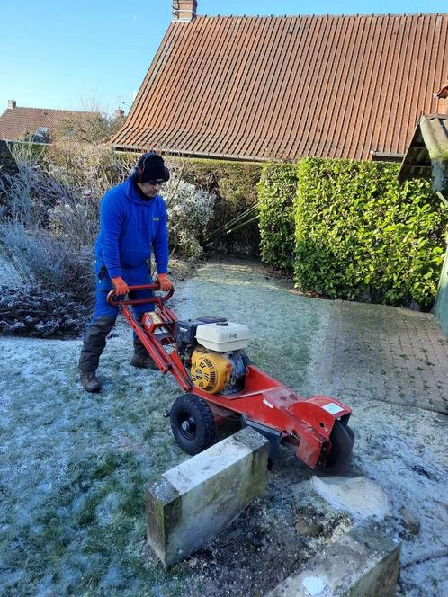 Prestations en espace vert, Diensten en Vakmensen, Tuinmannen en Stratenmakers