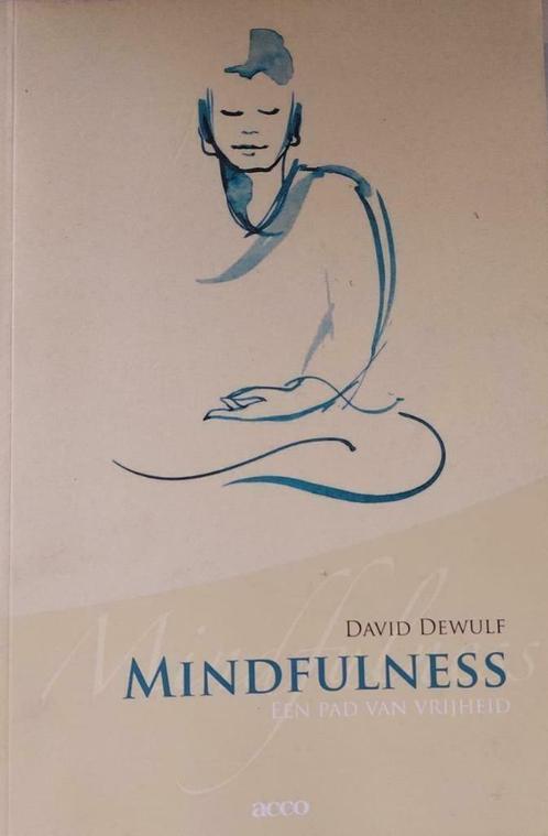 Mindfulness - David Dewulf, Boeken, Esoterie en Spiritualiteit, Zo goed als nieuw, Overige typen, Ophalen of Verzenden