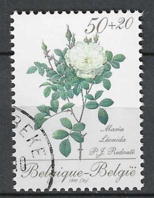 Belgie 1990 - Yvert/OBP 2356 - Flora - Rozen (ST), Postzegels en Munten, Postzegels | Europa | België, Gestempeld, Gestempeld