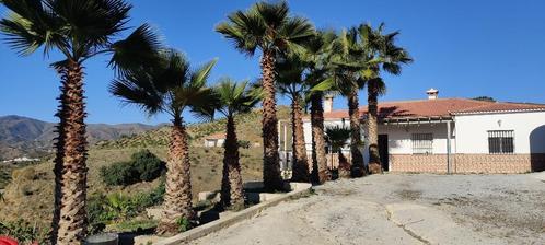 Vakantiehuis te huur dichtbij Málaga, Vacances, Maisons de vacances | Espagne, Autre Costa, Campagne, Montagnes ou collines, 3 chambres à coucher