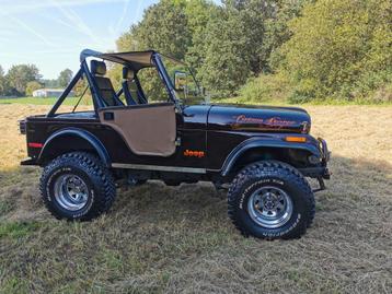 Jeep Cj5 4,2l LPG