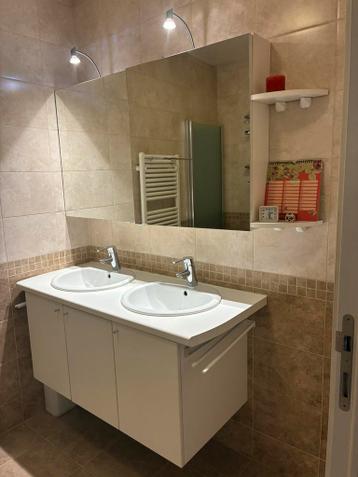 Gratis: Badkamermeubel en spiegelkast