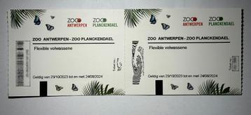 2 tickets Zoo Antwerpen / Planckendael (geldig tot 24/08/24)