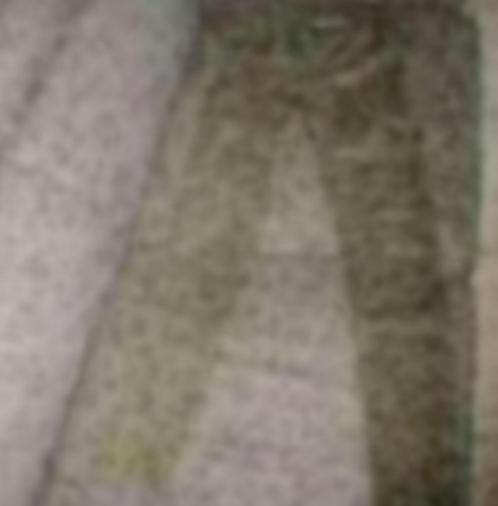 Pantalon jegging vert skinny (36) S, Vêtements | Femmes, Culottes & Pantalons, Porté, Taille 36 (S), Vert, Longs, Enlèvement