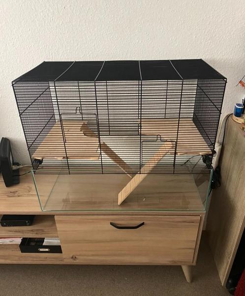 2 cages hamsters à vendre, Animaux & Accessoires, Rongeurs & Lapins | Cages & Clapiers, Comme neuf, Hamster, Enlèvement