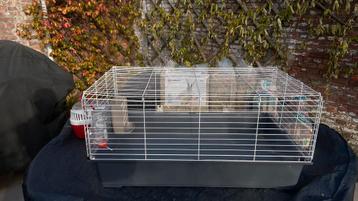 Starterskit voor cavia of konijn