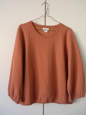 Pull femme - manches longues - grande taille