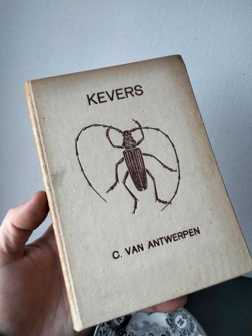 1950s vintage curiosa boek over Kevers verzamelen, Verzamelen, Retro, Overige typen, Ophalen of Verzenden