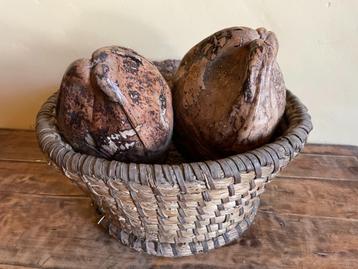 Oude gedroogde Kokosnoten