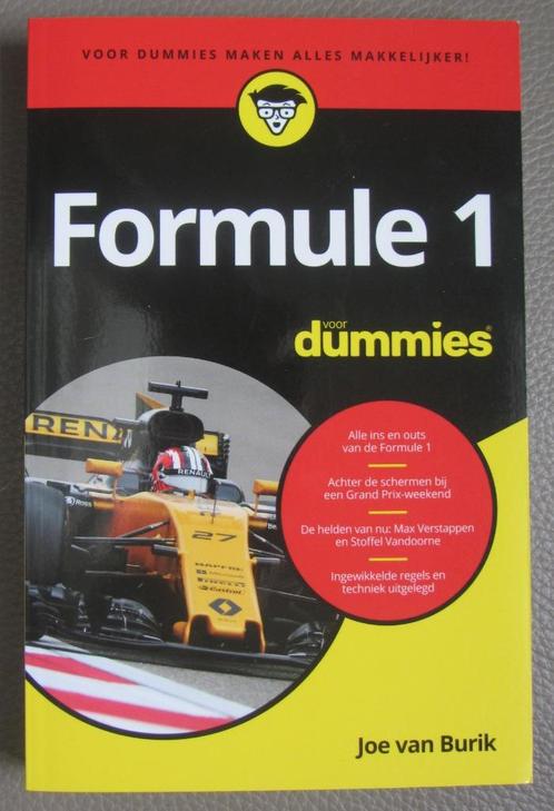 Formule 1 voor Dummies - Joe Van Burik - boek, Livres, Autos | Livres, Comme neuf, Général, Enlèvement ou Envoi