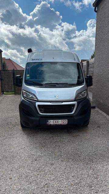 Campervan bravia swan 599