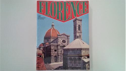 Florence (plan de ville amovible), Livres, Guides touristiques, Comme neuf, Guide ou Livre de voyage, Europe, Enlèvement ou Envoi