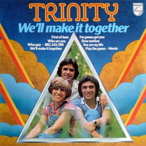 Trinity  – We'll Make It Together, Cd's en Dvd's, Vinyl | Pop, Gebruikt, 1960 tot 1980, 12 inch, Ophalen of Verzenden