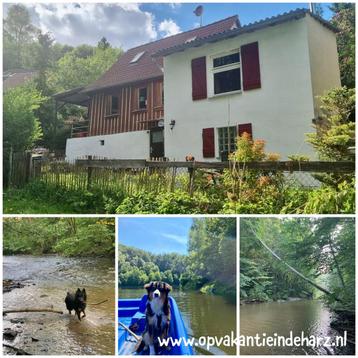 4 persoons vakantiehuis in Harz gebied. Midden in natuur