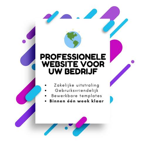 Professionele website voor uw bedrijf? Wij helpen!, Livres, Livres d'étude & Cours, Neuf, Enlèvement