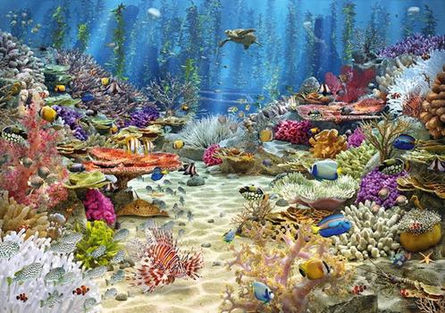 Puzzle 2000 pièces "Paradis des récifs coraliens"(100x70 cm), Hobby & Loisirs créatifs, Sport cérébral & Puzzles, Comme neuf, Puzzle