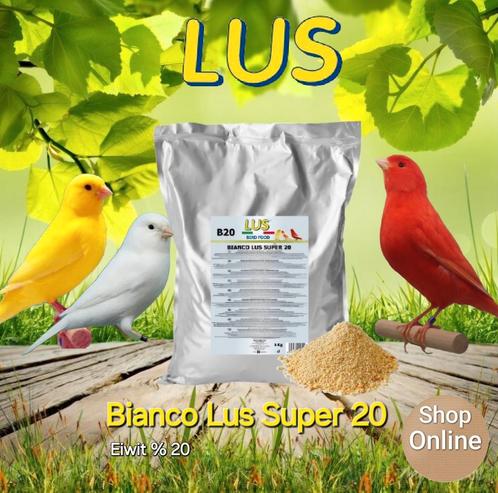 LUS B20 Eivoer - Bianco Lus Super 20, 20% Eiwitten - 1kg, Dieren en Toebehoren, Vogels | Kanaries