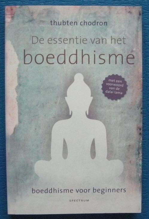 De essentie van boeddhisme - Thubten Chodron, Livres, Religion & Théologie, Comme neuf, Bouddhisme, Enlèvement ou Envoi