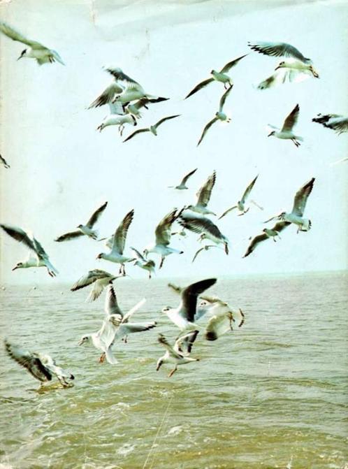 Natuur en vogelreservaten van België Deel 1 Het Zwin, Livres, Livres d'images & Albums d'images, Utilisé, Livre d'images, Enlèvement ou Envoi