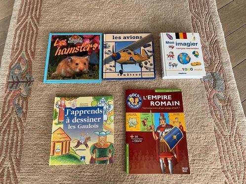 Livres (5) pour enfants (4 à 12 ans), Boeken, Kinderboeken | Baby's en Peuters, Zo goed als nieuw, Ophalen of Verzenden