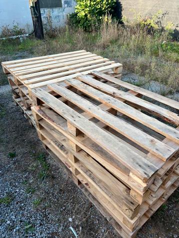 Paletten 10 stuks GRATIS