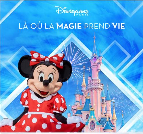 Ticket d'entrée Disneyland Paris ECO 1 parc, Tickets & Billets, Loisirs | Parcs d'attractions, Une personne, Ticket ou Carte d'accès