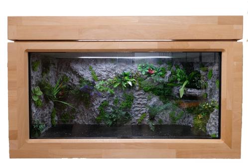Vivarium en bois de hêtre avec décoration de fond, Animaux & Accessoires, Reptiles & Amphibiens | Accessoires, Comme neuf, Terrarium ou Paludarium