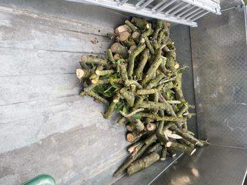 Gratis hout