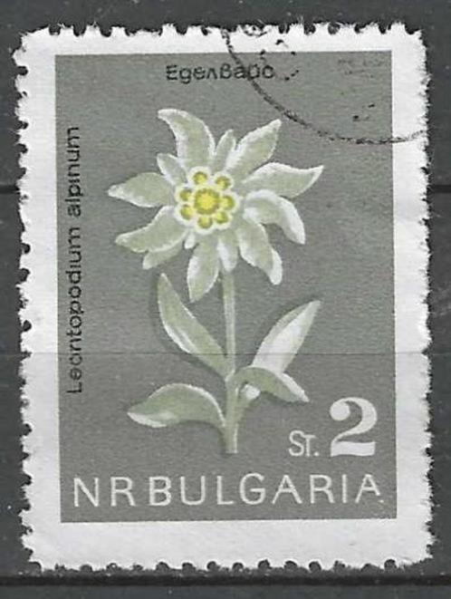 Bulgarije 1963 - Yvert 1209 - Edelweiss (ST), Timbres & Monnaies, Timbres | Europe | Autre, Affranchi, Bulgarie, Envoi