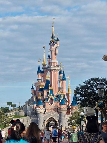 Service d'achats de Disneyland Paris