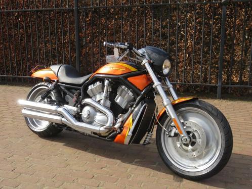 Harley davidson V-rod, Motoren, Motoren | Harley-Davidson, Bedrijf, Chopper, meer dan 35 kW, 2 cilinders, Ophalen of Verzenden