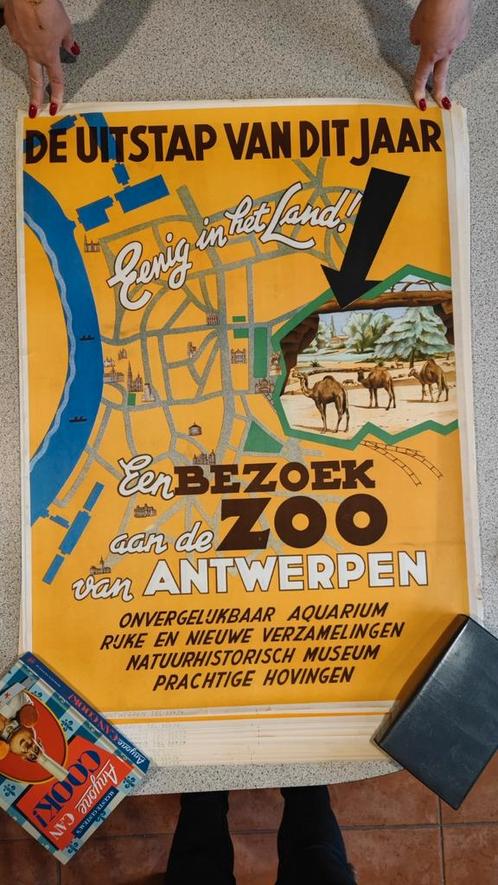 Originele posters 'Zoo Van Antwerpen', Verzamelen, Posters, Gebruikt, Overige onderwerpen, Deurposter of groter, Rechthoekig Staand