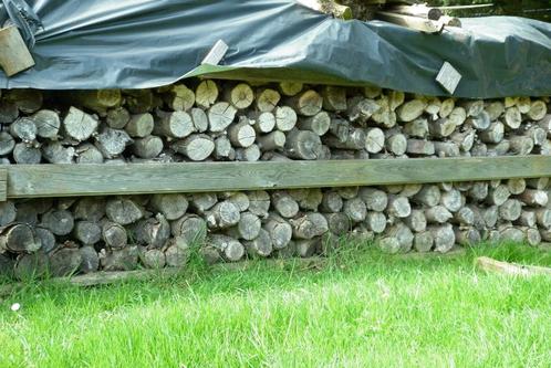 brandhout van fruithout en den, Tuin en Terras, Brandhout, Blokken, Overige houtsoorten, 6 m³ of meer, Ophalen of Verzenden