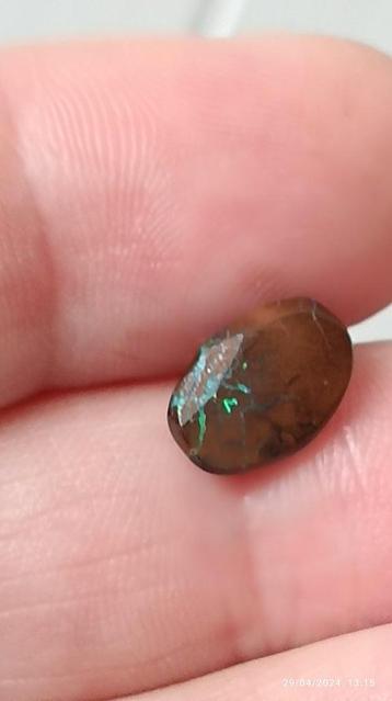 Cabochon d'Opale boulder d'Australie 