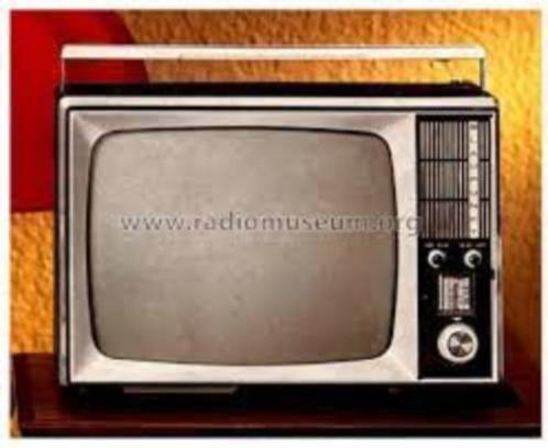 DRAAGBARE BLAUWPUNKT TV . TYPE PRINCE, TV, Hi-fi & Vidéo, Télévisions, Comme neuf, Moins de 40 cm, Envoi